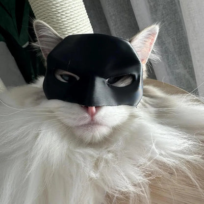 HeroCat™ | Turns your Cat into a Superhero